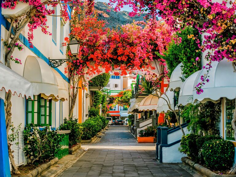 Colorful street in a Spanish village with blooming trees and plenty of greenery. 