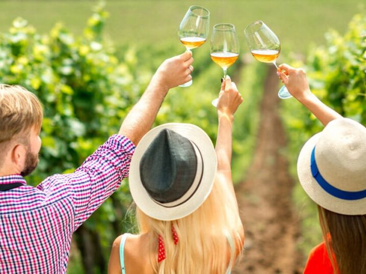 Picture of Wine Tasting and Tour