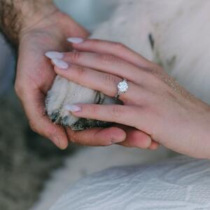 Gallery Photo 39