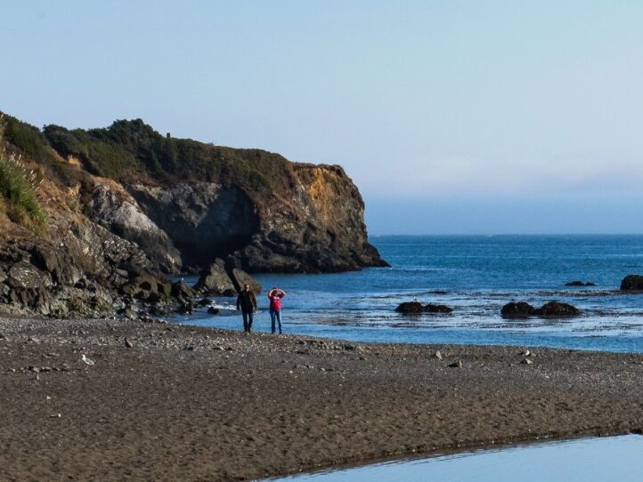 Picture of Van Damme State Park