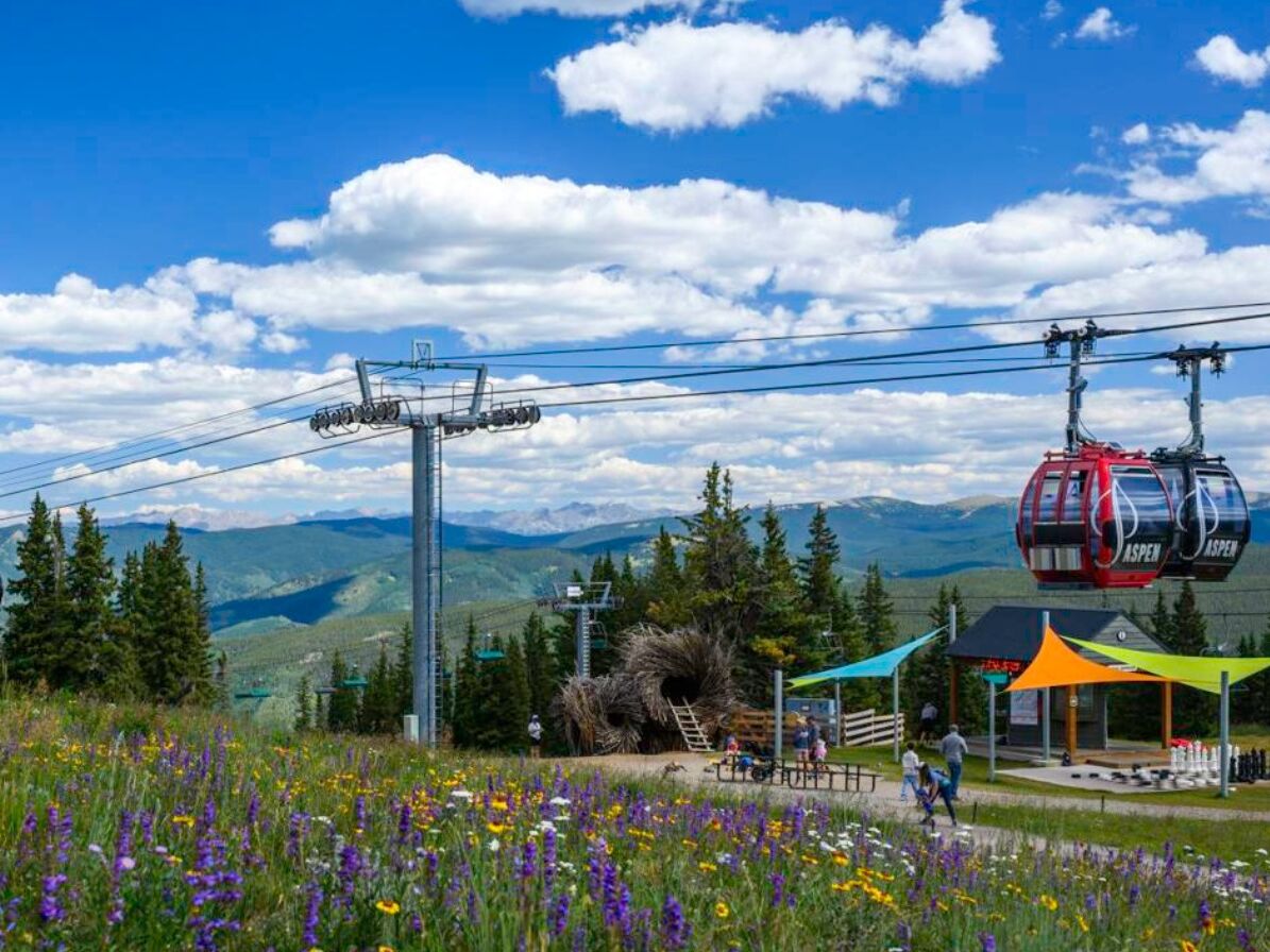 Picture of Aspen Trip and Gondola up Ajax Mountain