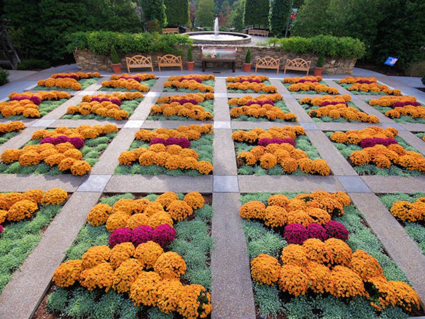 Picture of The North Carolina Arboretum