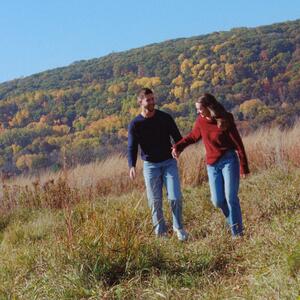 Gallery Photo 98