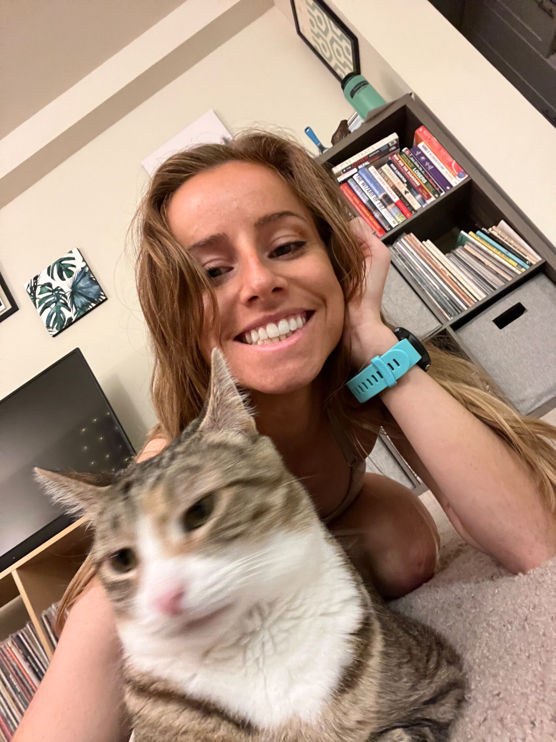 Picture of New Cat Alert! 