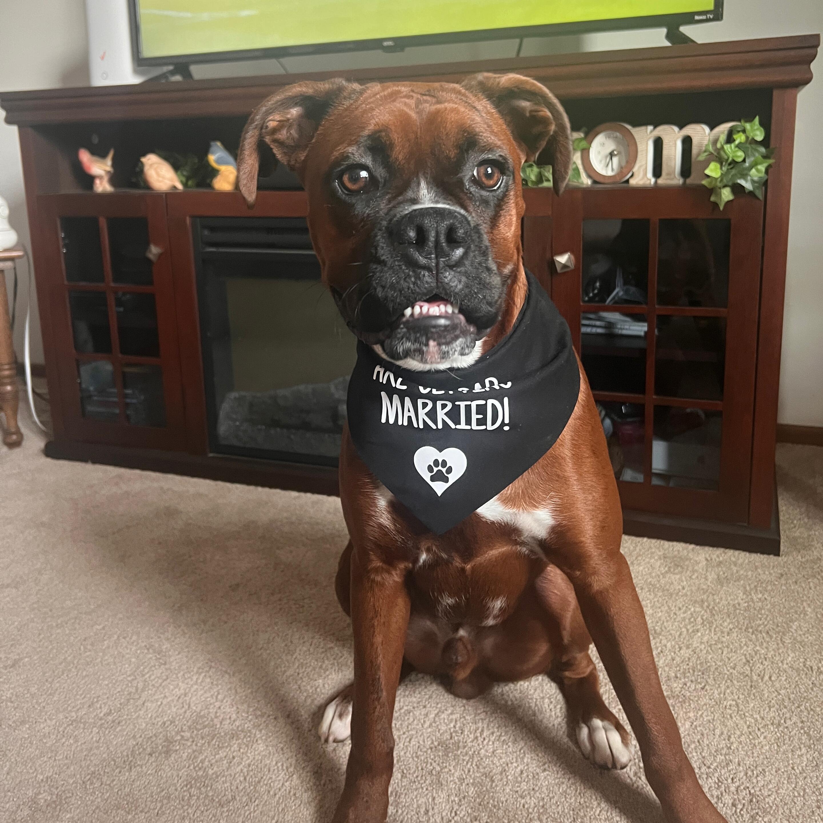 Maverick