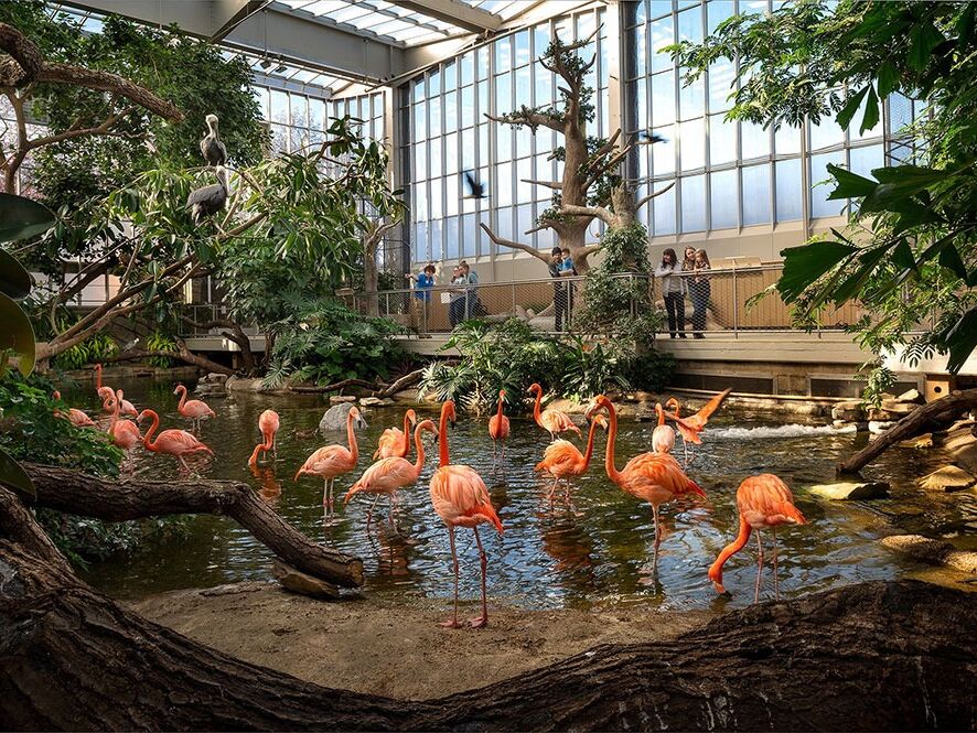 Picture of National Aviary