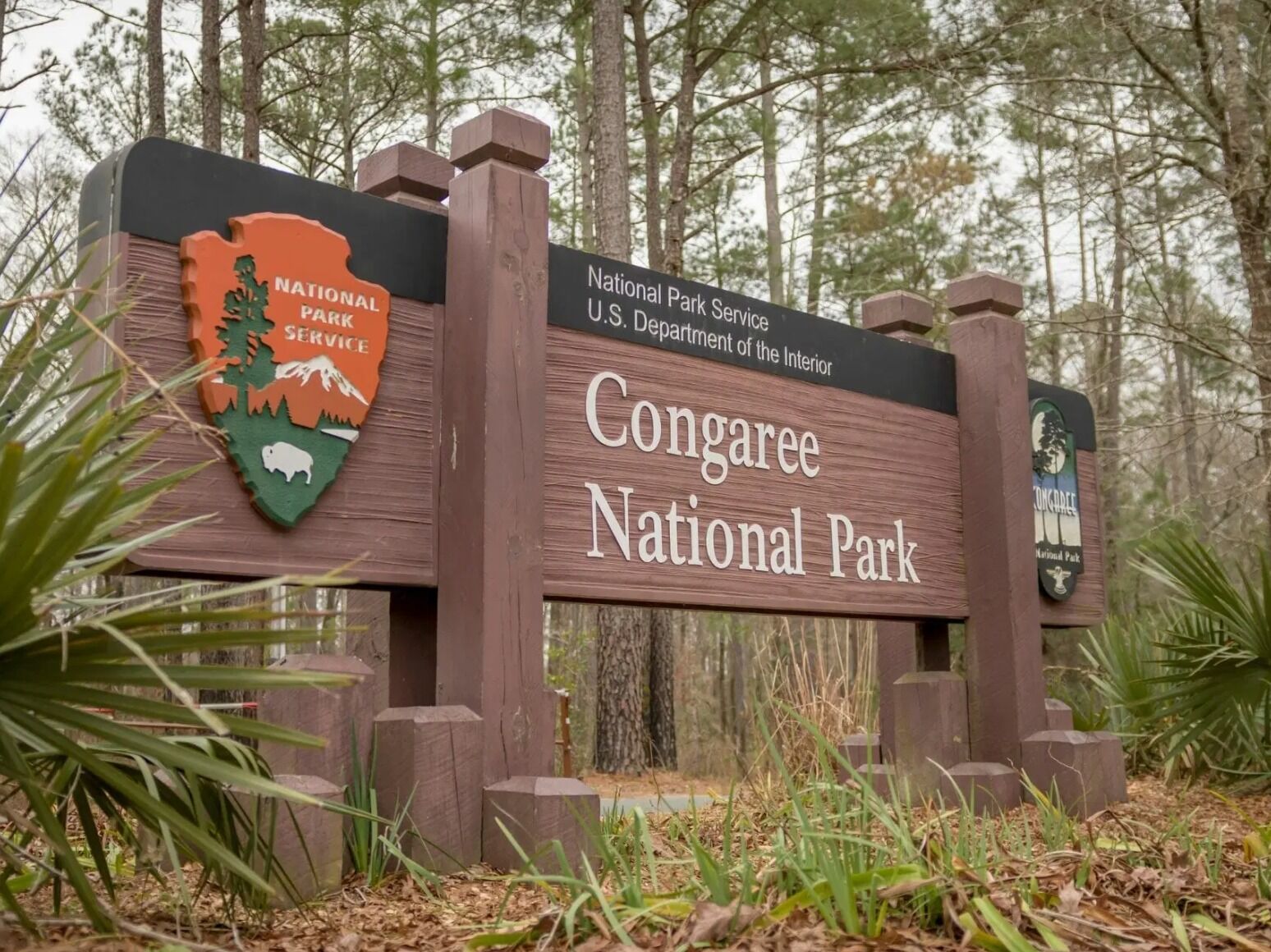 Picture of Congaree National Park