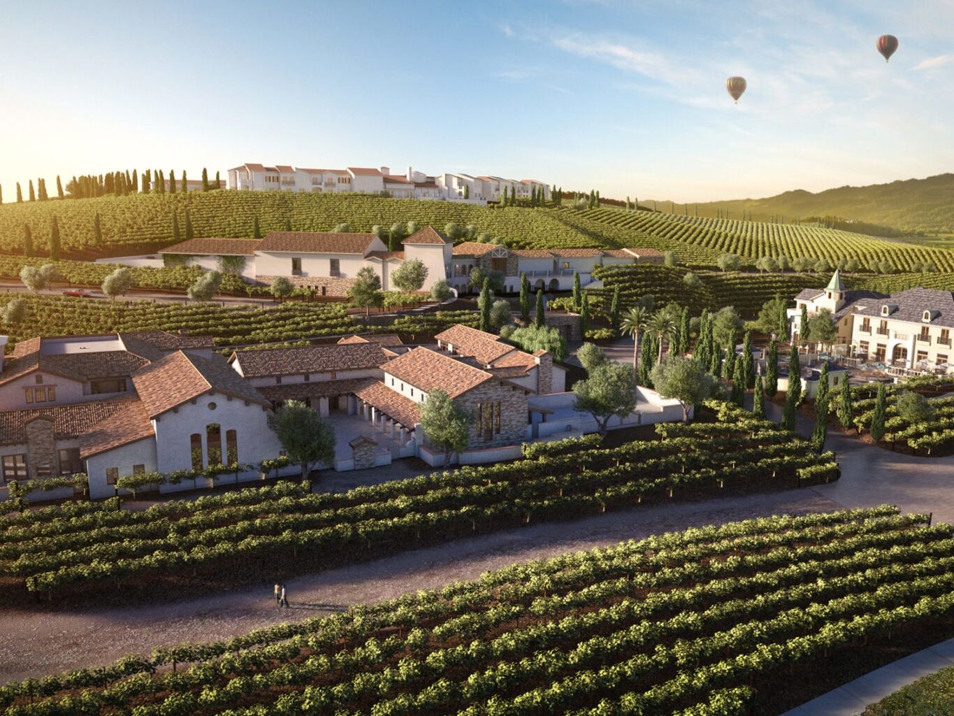 Picture of Wineries