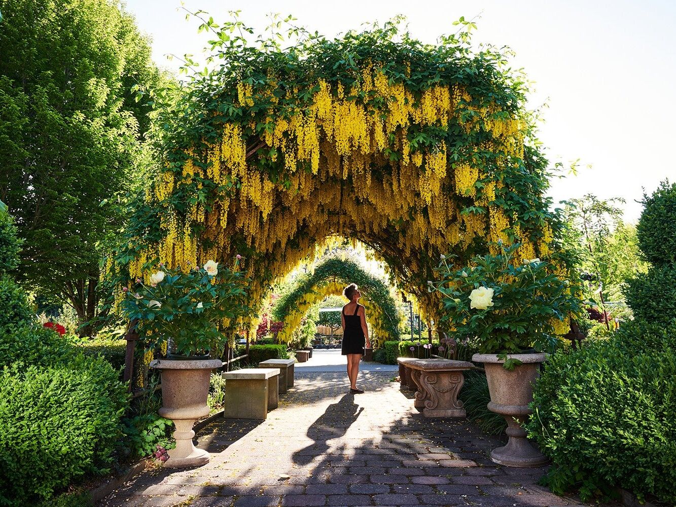 Picture of Bayview Garden
