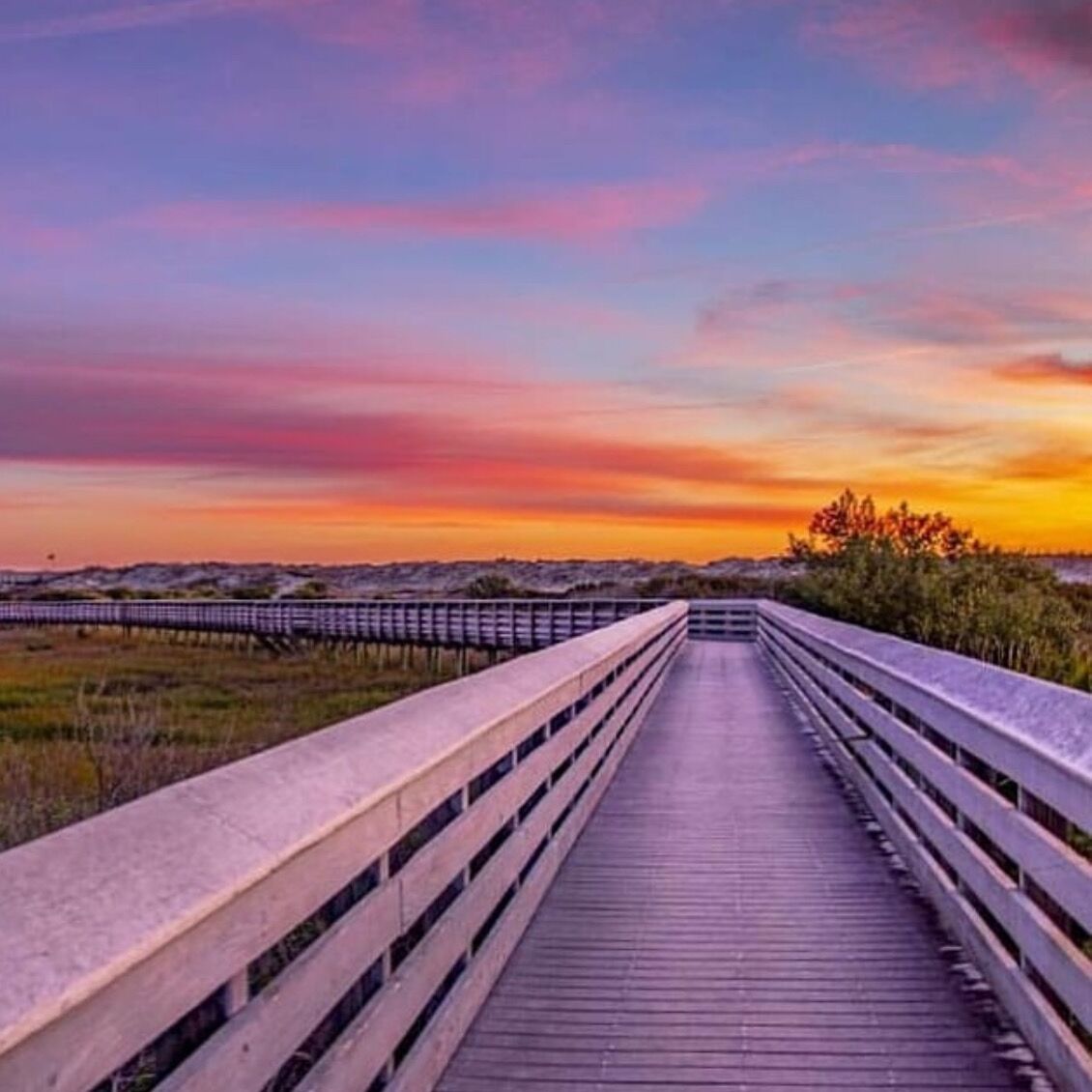 Picture of Anastasia State Park