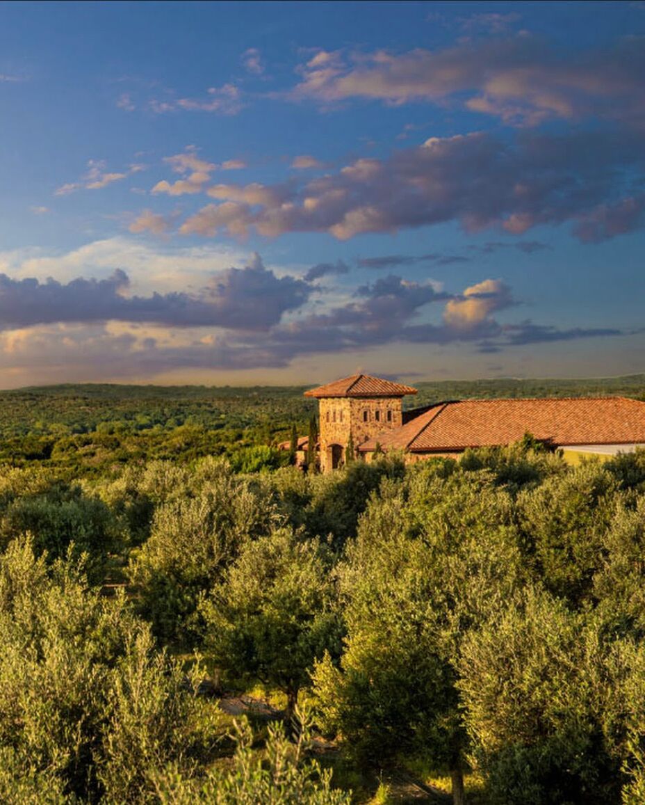 Picture of Texas Hill Country Olive Co.