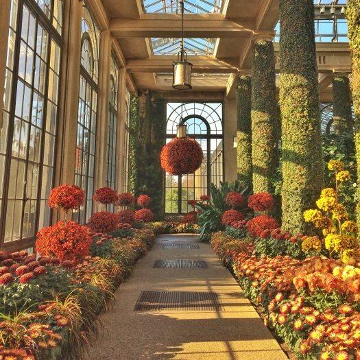 Picture of Longwood Gardens