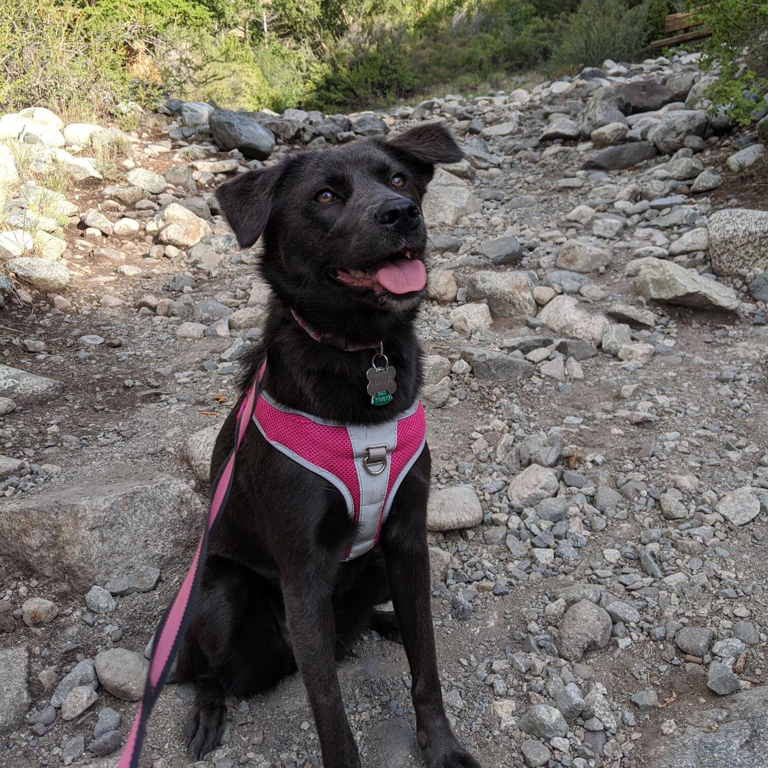 Luna