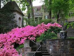 Picture of Winterthur Museum, Garden & Library