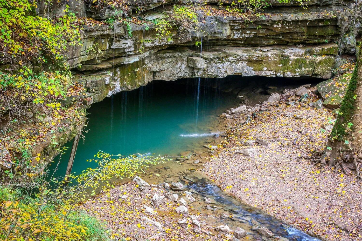 Picture of Mammoth Cave National Park