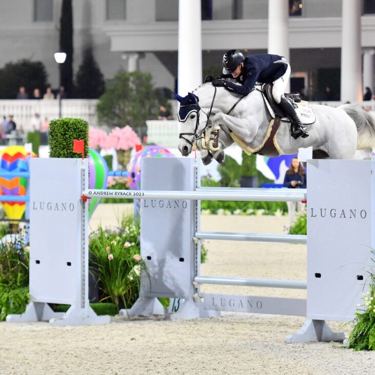 Picture of World Equestrian Center — Ocala