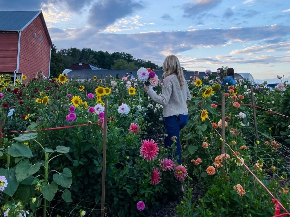 Picture of Harmony Harvest Farm
