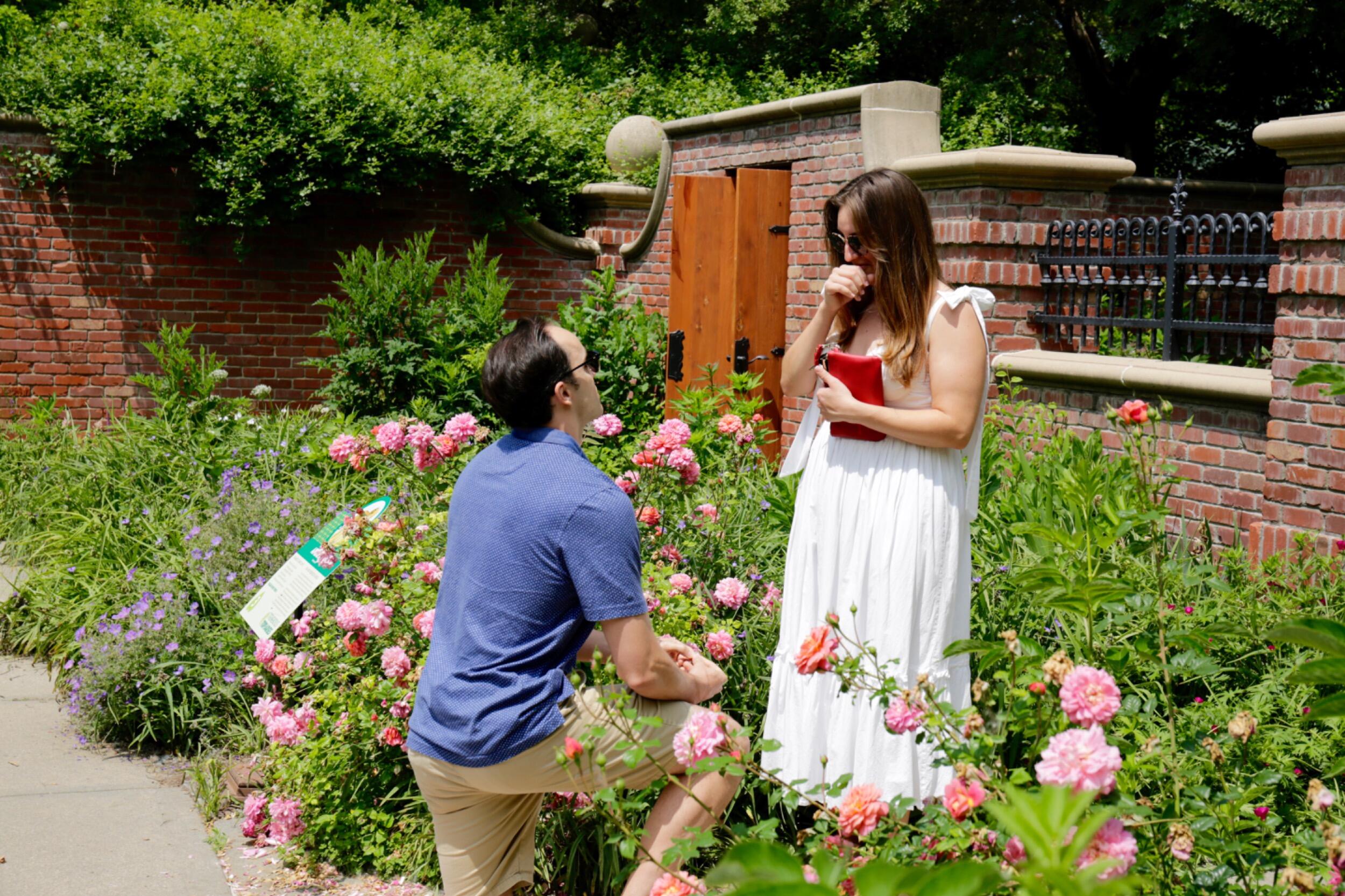 "Will you be my wife?"