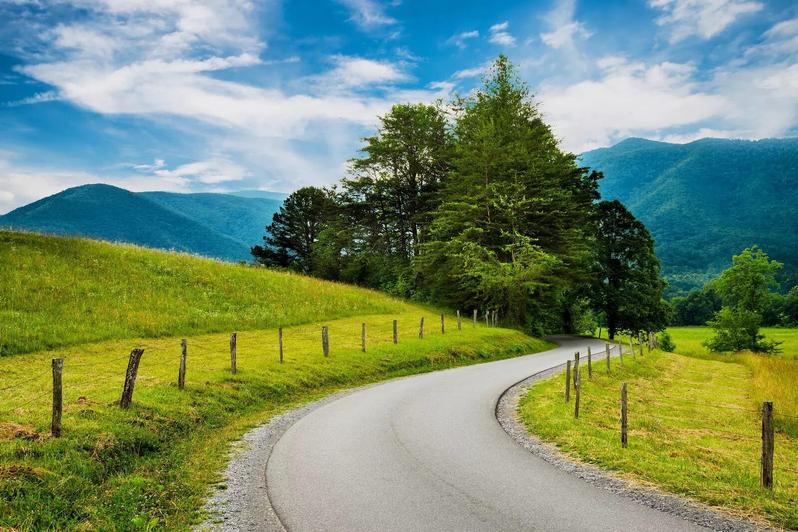 Picture of Cades Cove Scenic Loop
