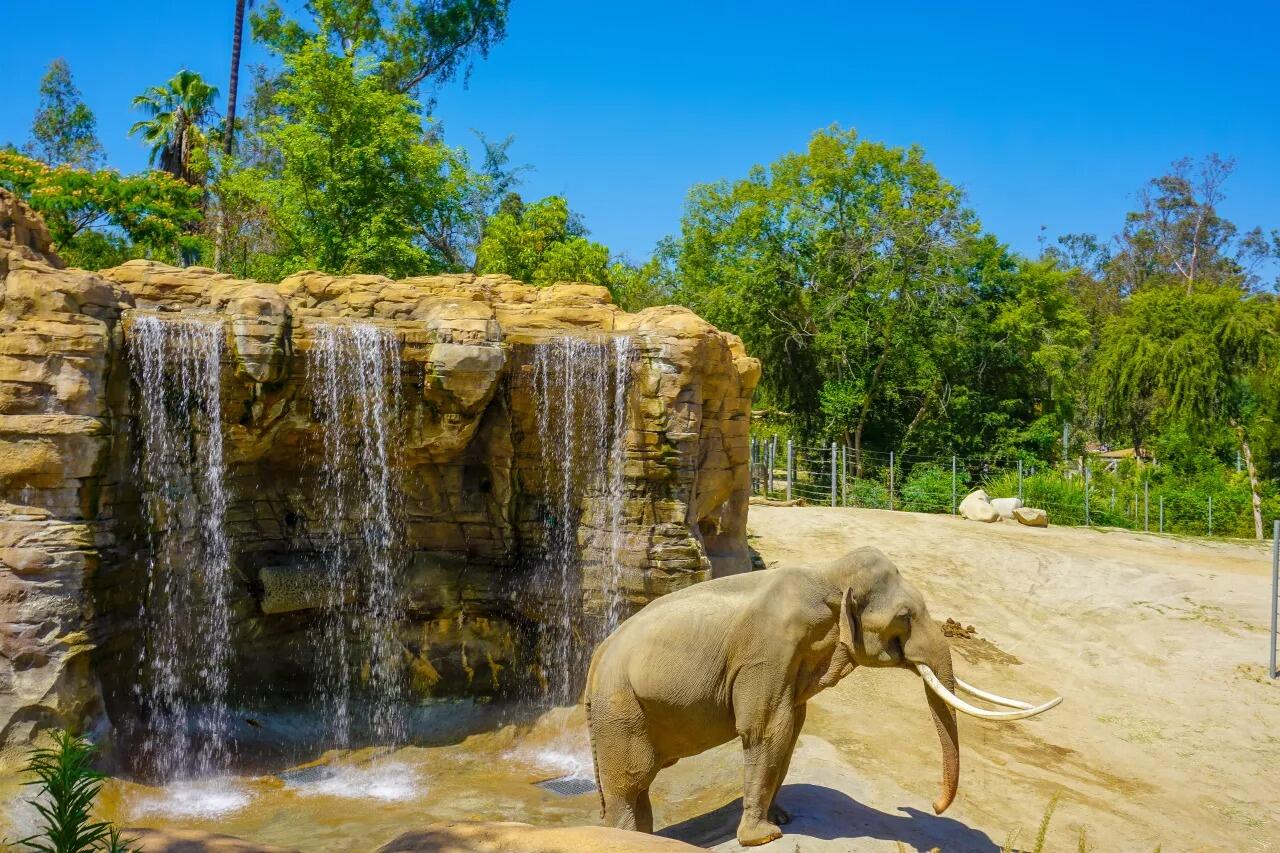 Picture of Los Angeles Zoo
