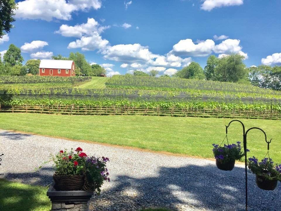 Picture of Serpent Ridge Vineyard