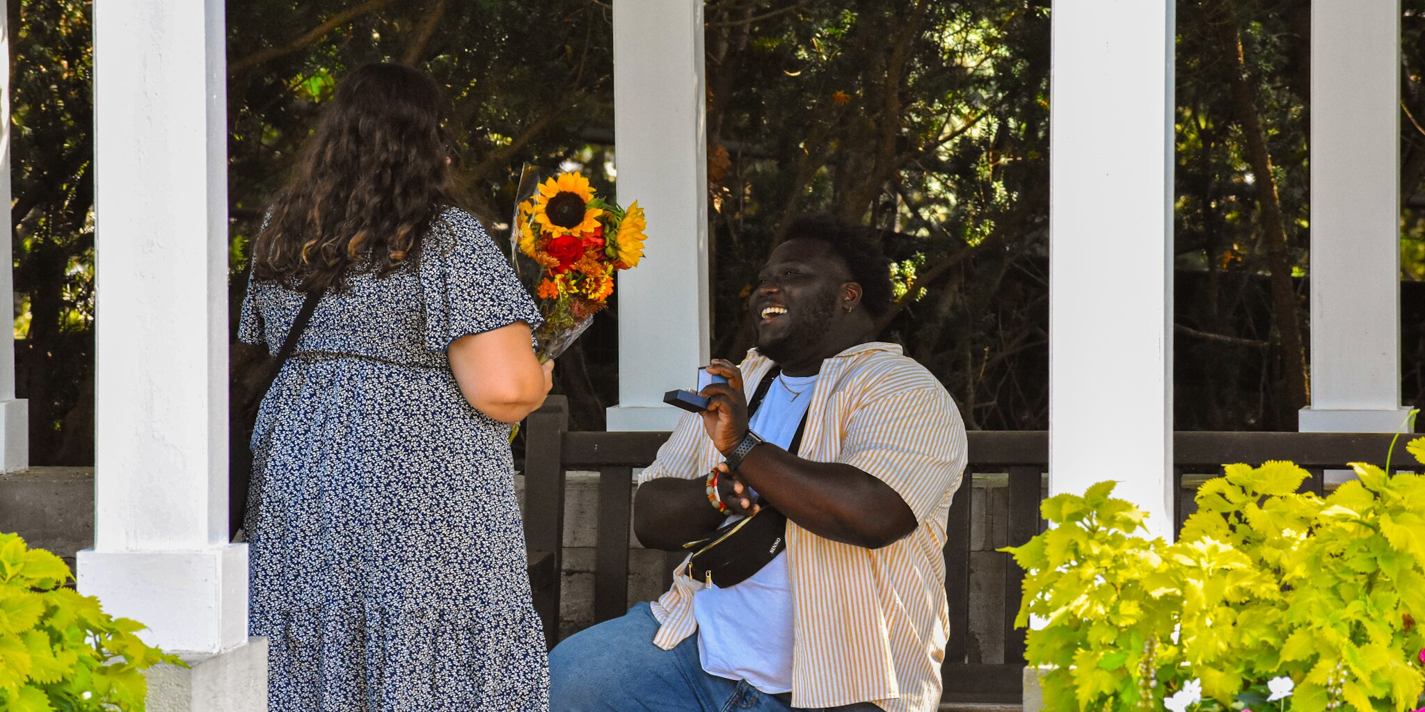Francesca & Thaddeus Home Page Banner