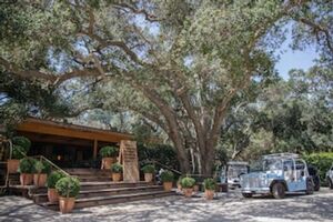 Picture of Calamigos Guest Ranch and Beach Club