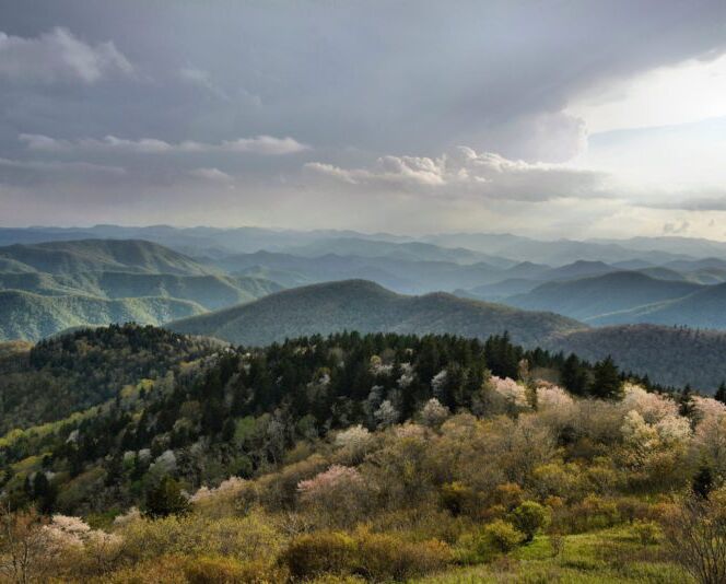 Picture of Drive The Blue Ridge Parkway