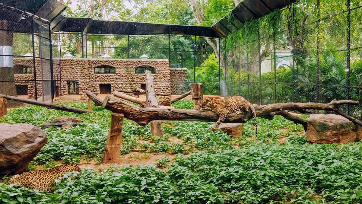 Picture of Birmingham Zoo