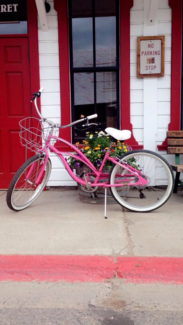 Picture of Big Al's Bicycle Heaven