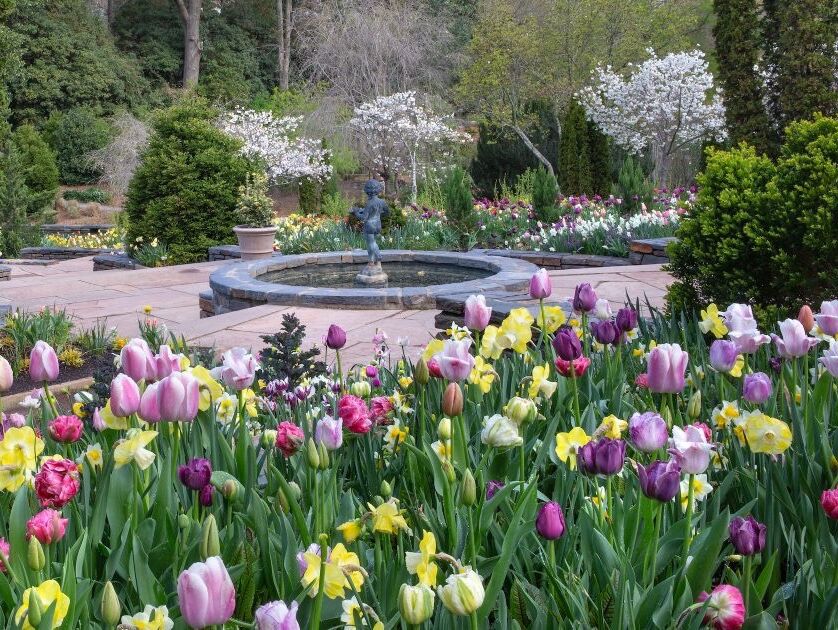 Picture of Sarah P. Duke Gardens