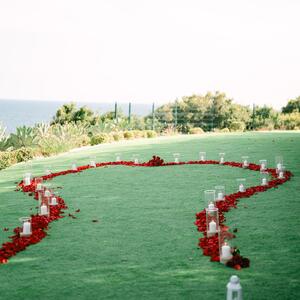Gallery Photo 1