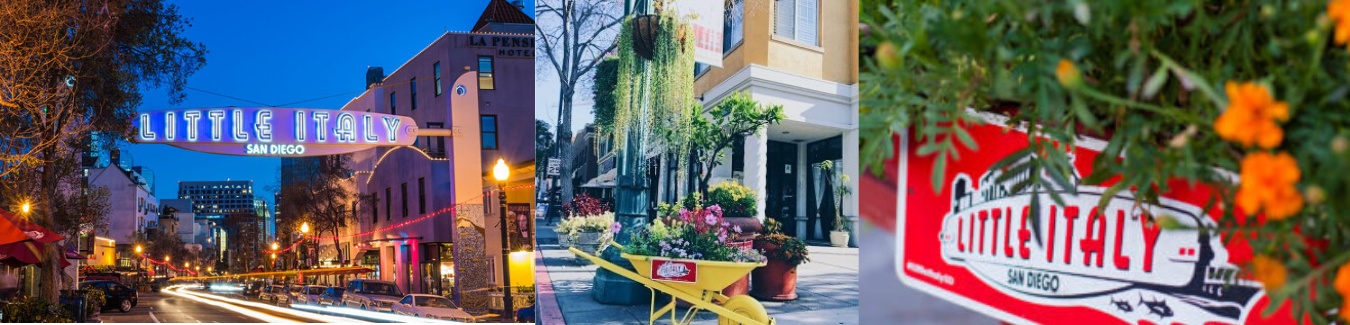 Picture of Walk Around Little Italy
