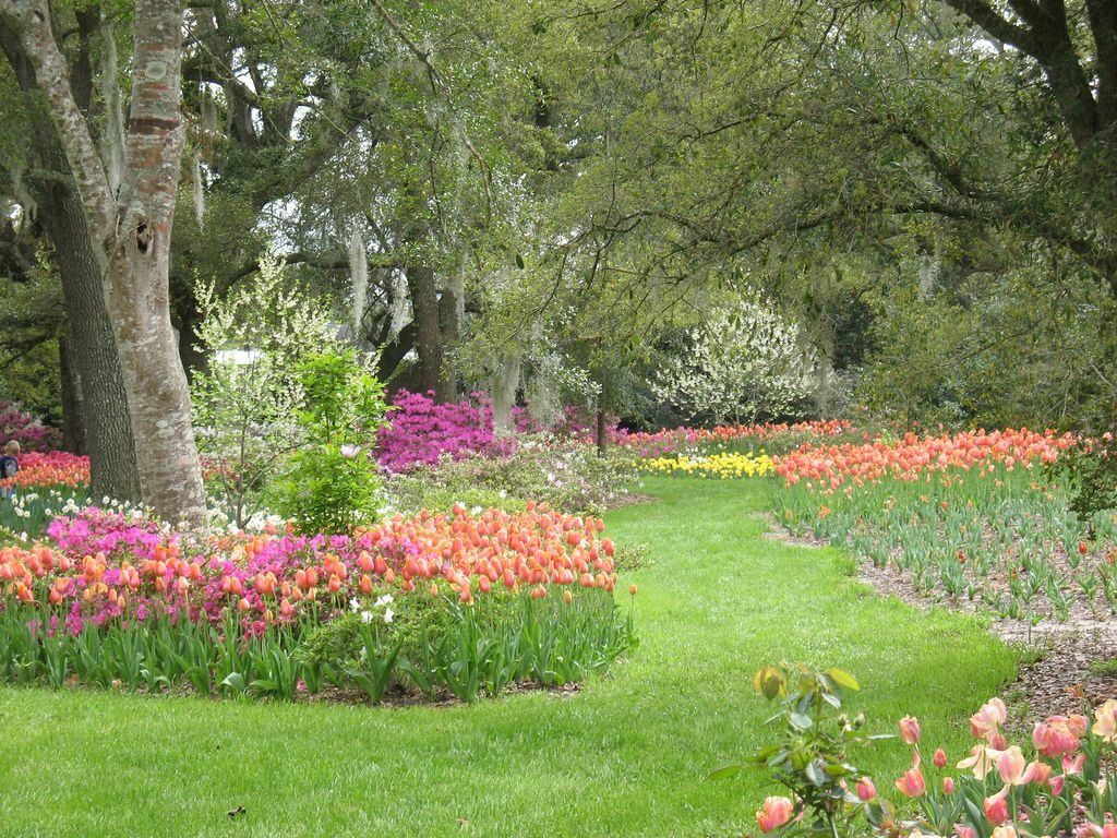 Picture of Airlie Gardens