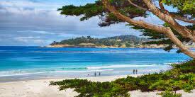 Picture of Carmel-by-the-Sea 