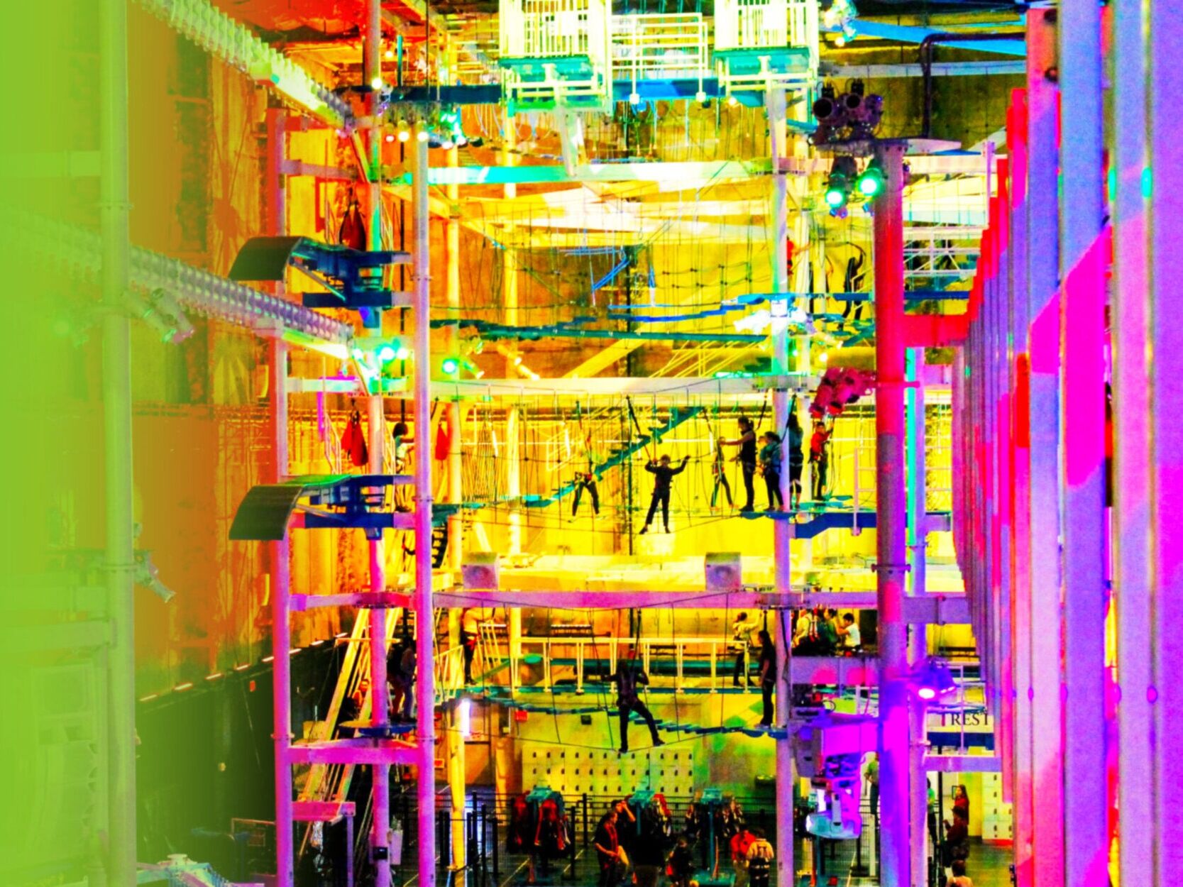 Picture of It Adventure Ropes Course