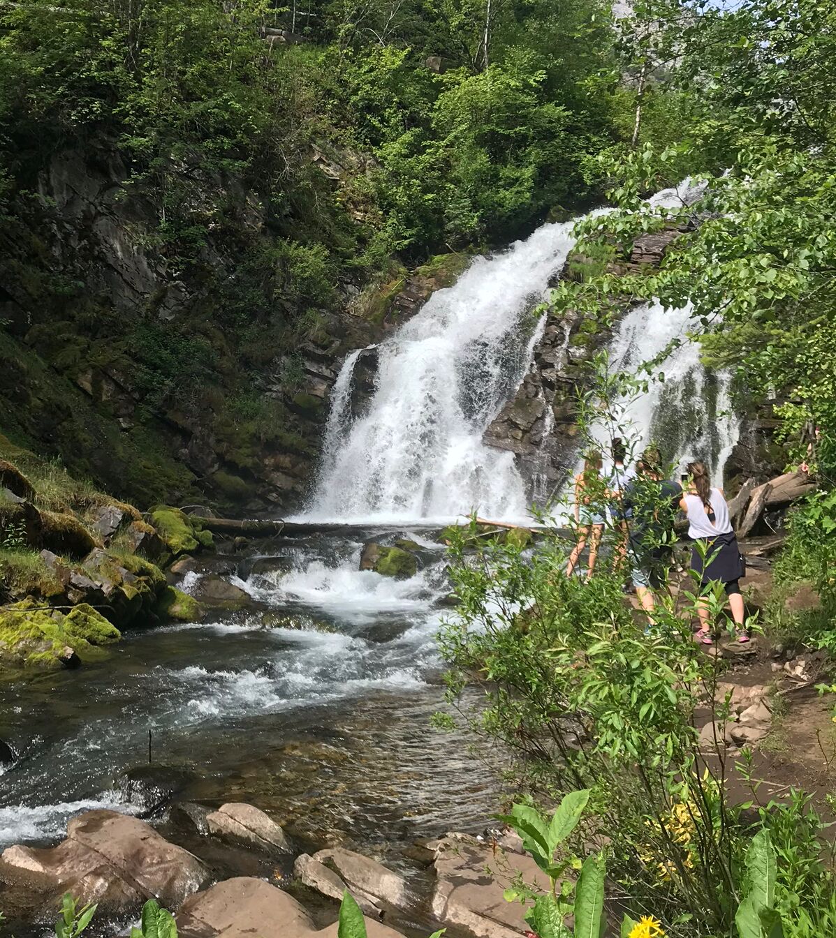 Picture of Fairy Creek Falls