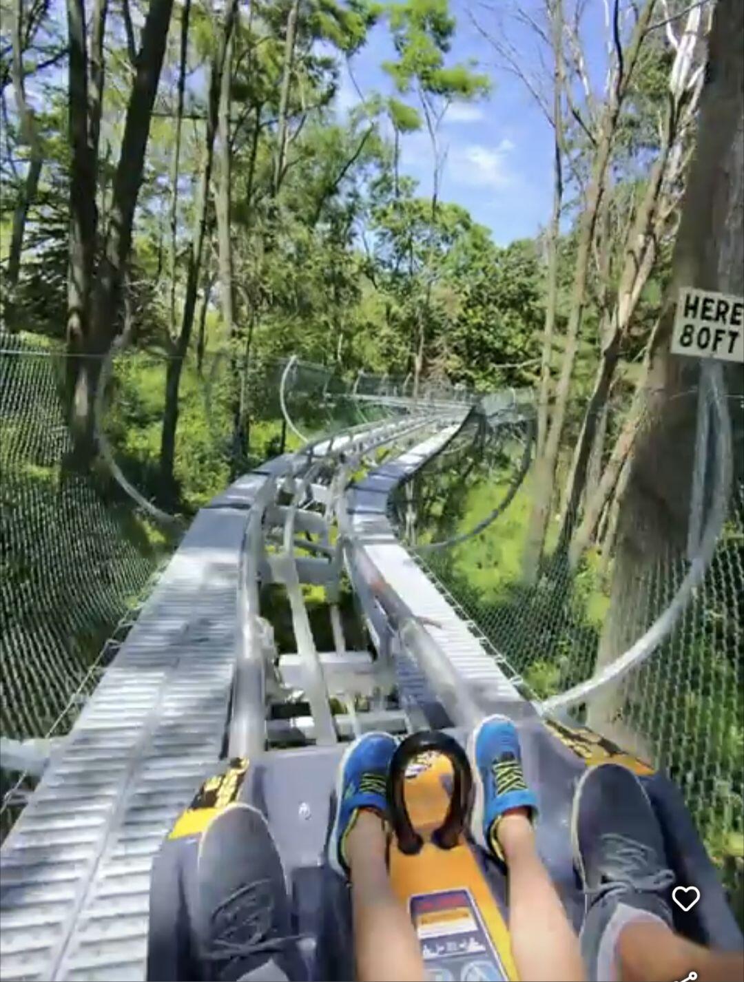 Picture of Wisconsin Dells Mountain Coaster