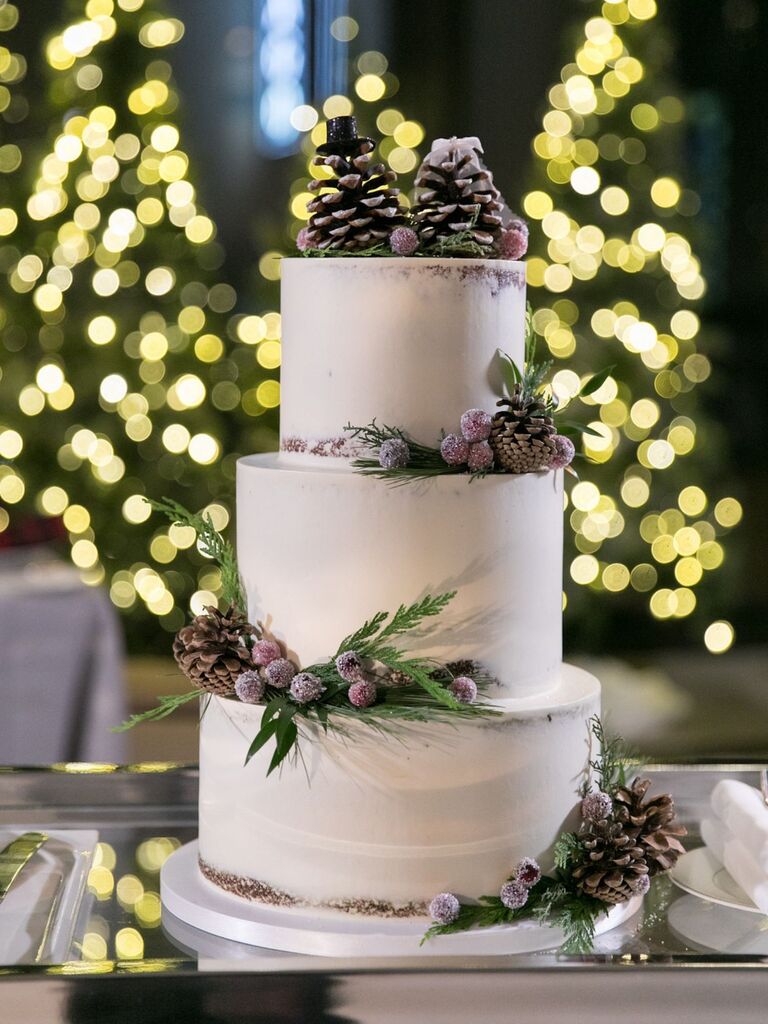 30 Winter Wedding Cake Ideas You'll Absolutely Love