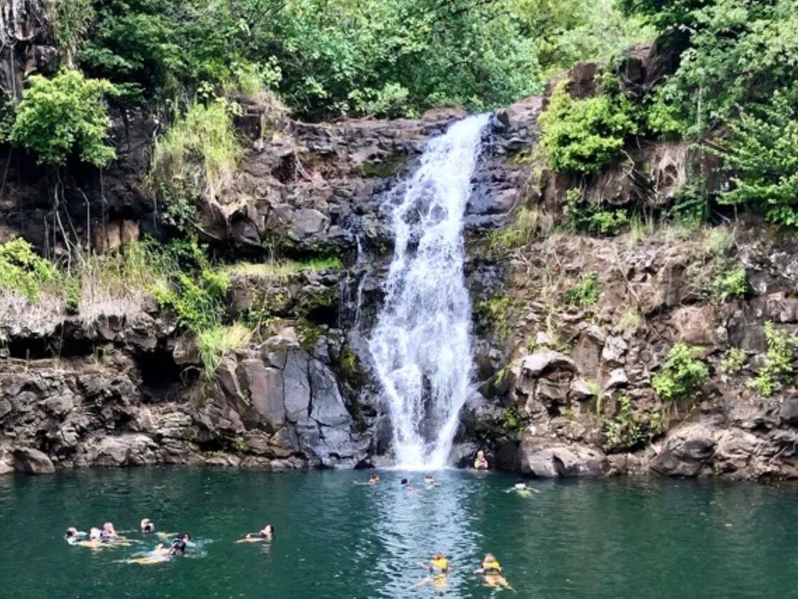 Picture of Waimea Valley