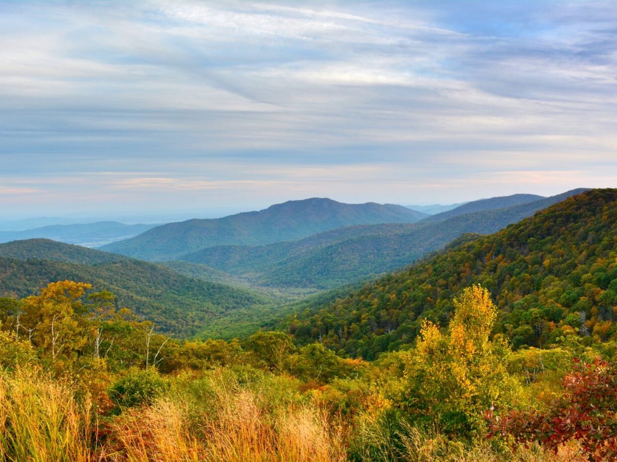 Picture of Shenandoah National Park