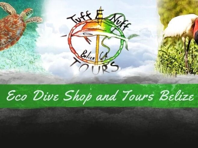 Picture of Tuff E Nuff Tours