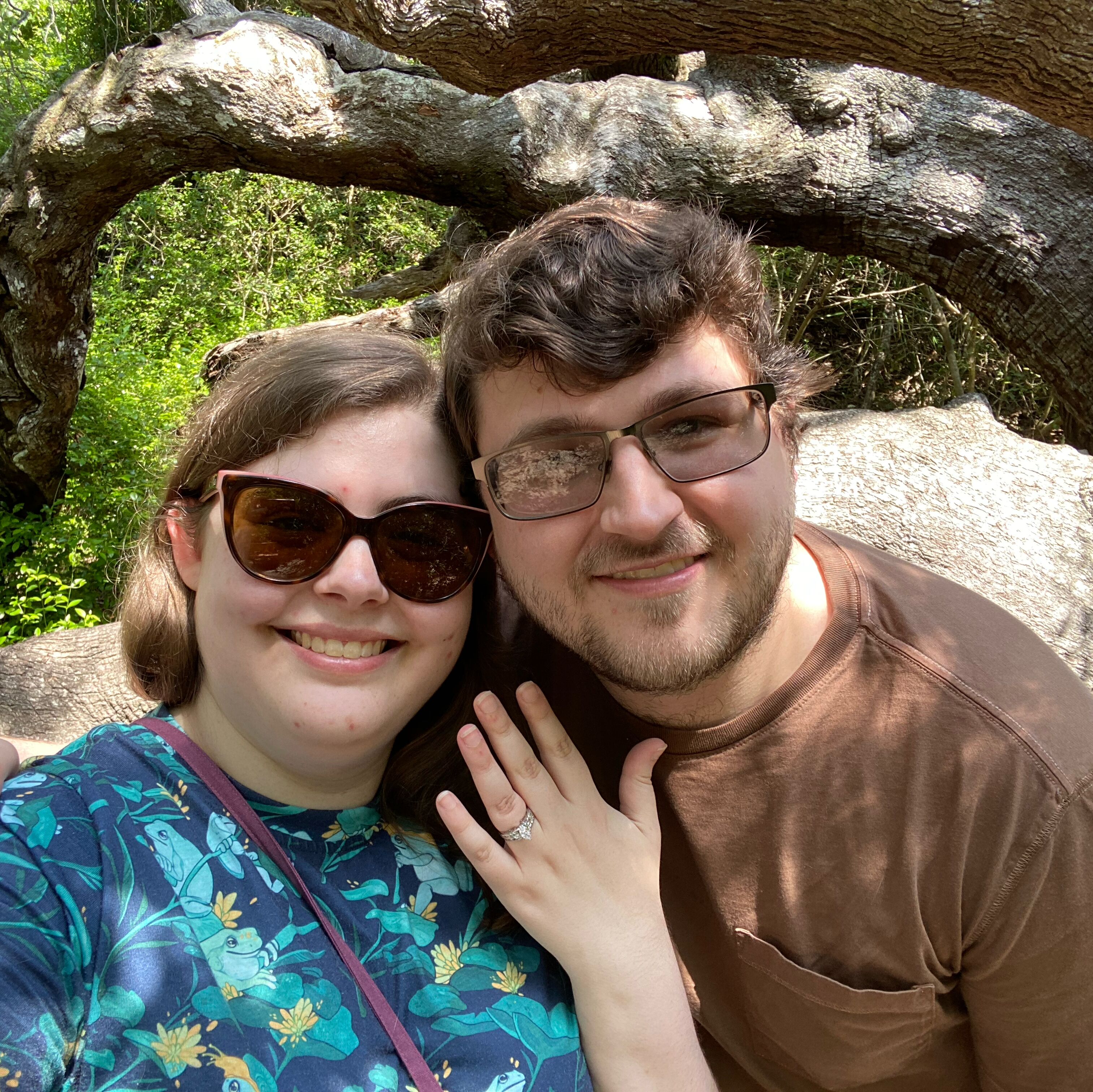 Picture of The Proposal