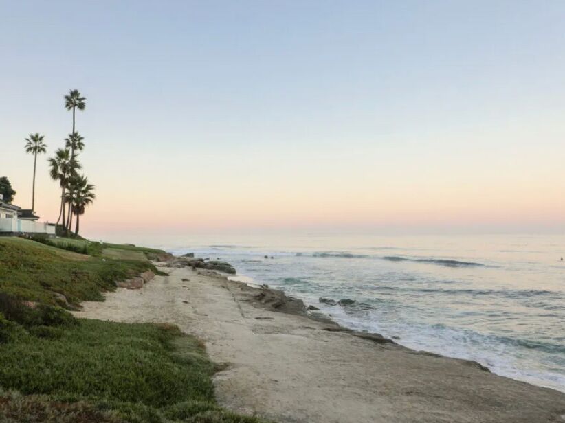 Picture of Windansea Beach