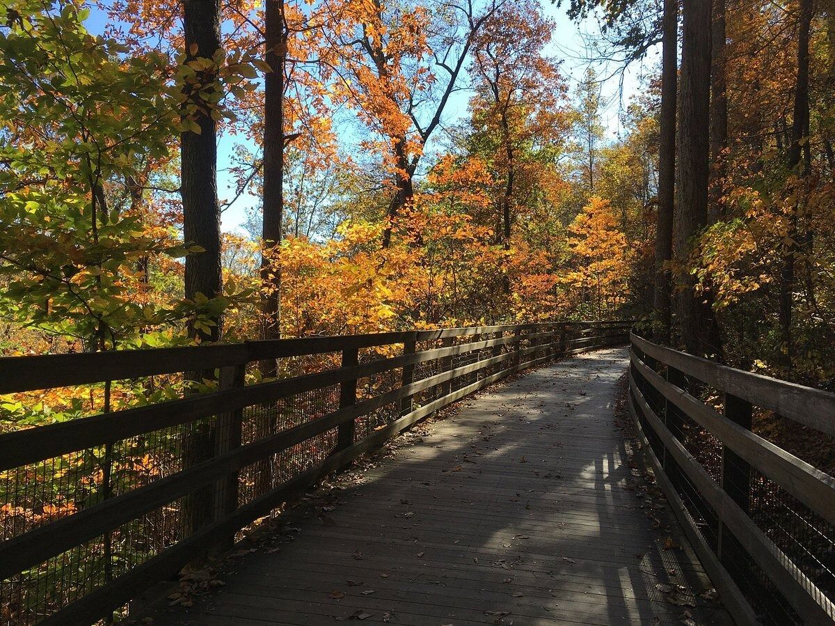 Picture of Saunders-Monticello Trail & Kemper Park Parking lot