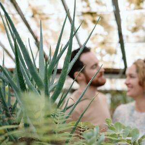 Gallery Photo 52