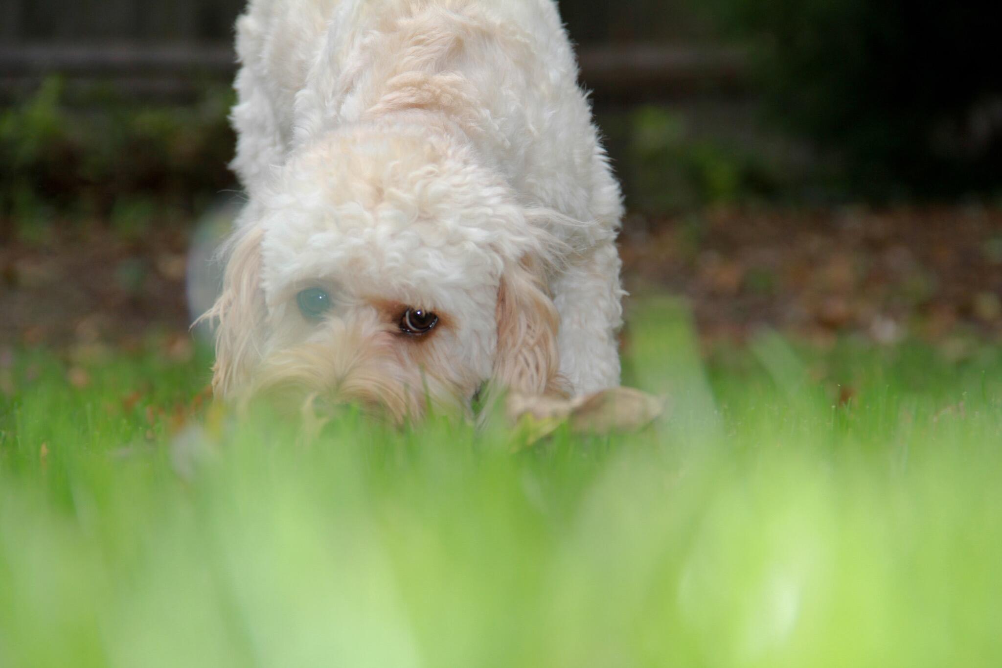 Album Photo 26