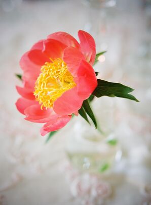 Floral Detail Shot