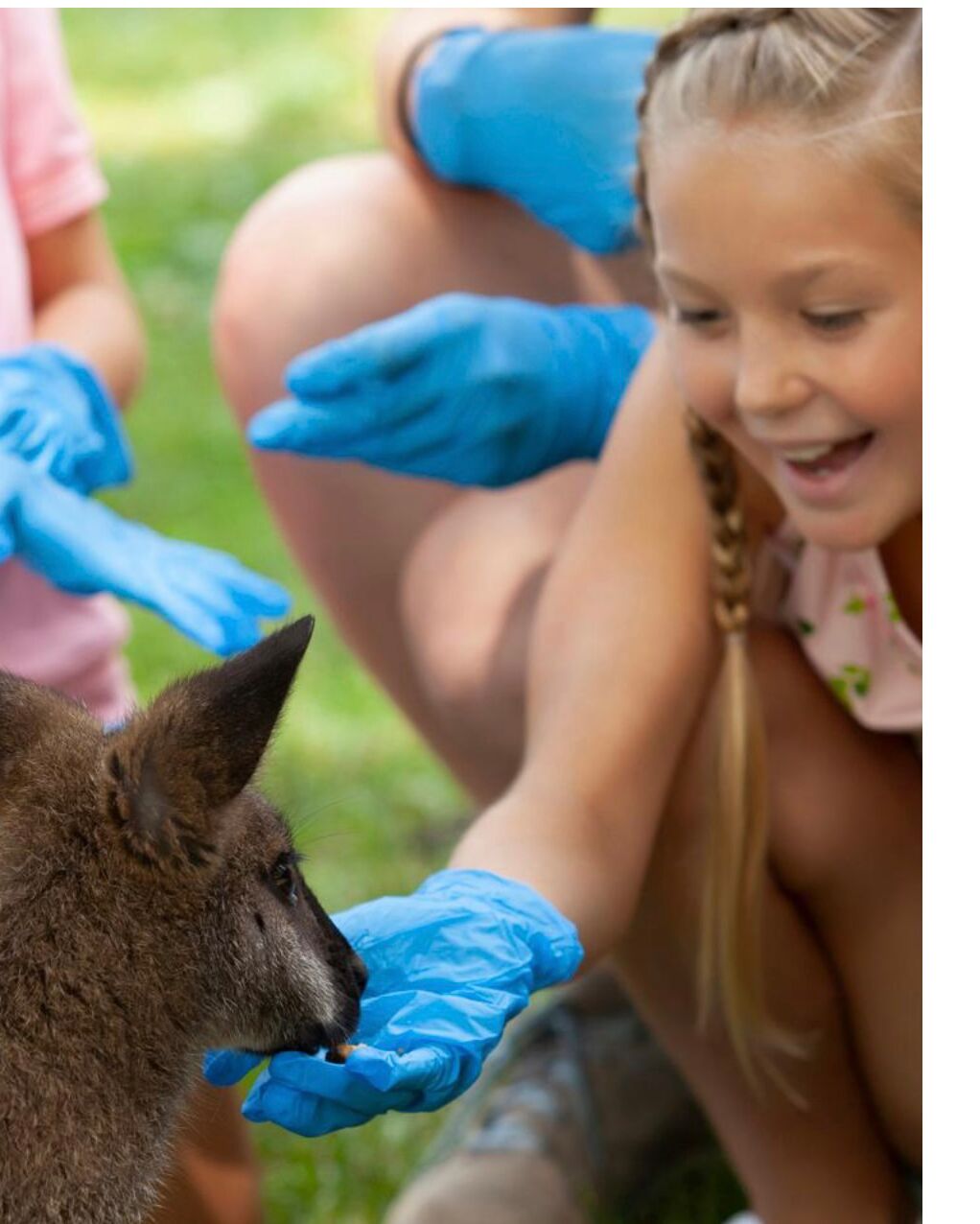 Picture of The Good Zoo
