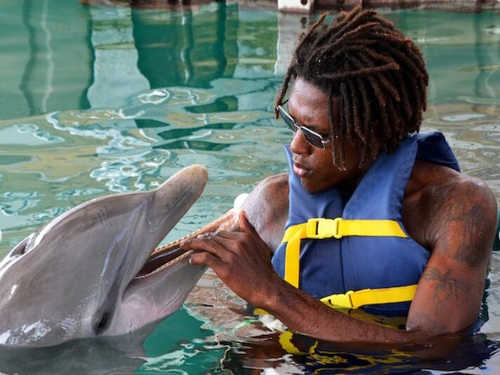 Picture of Dolphin Encounters